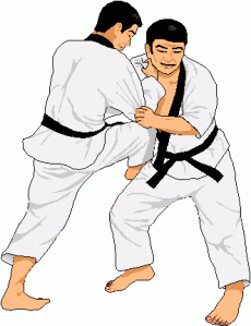 judo[1]